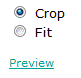 Crop Fit